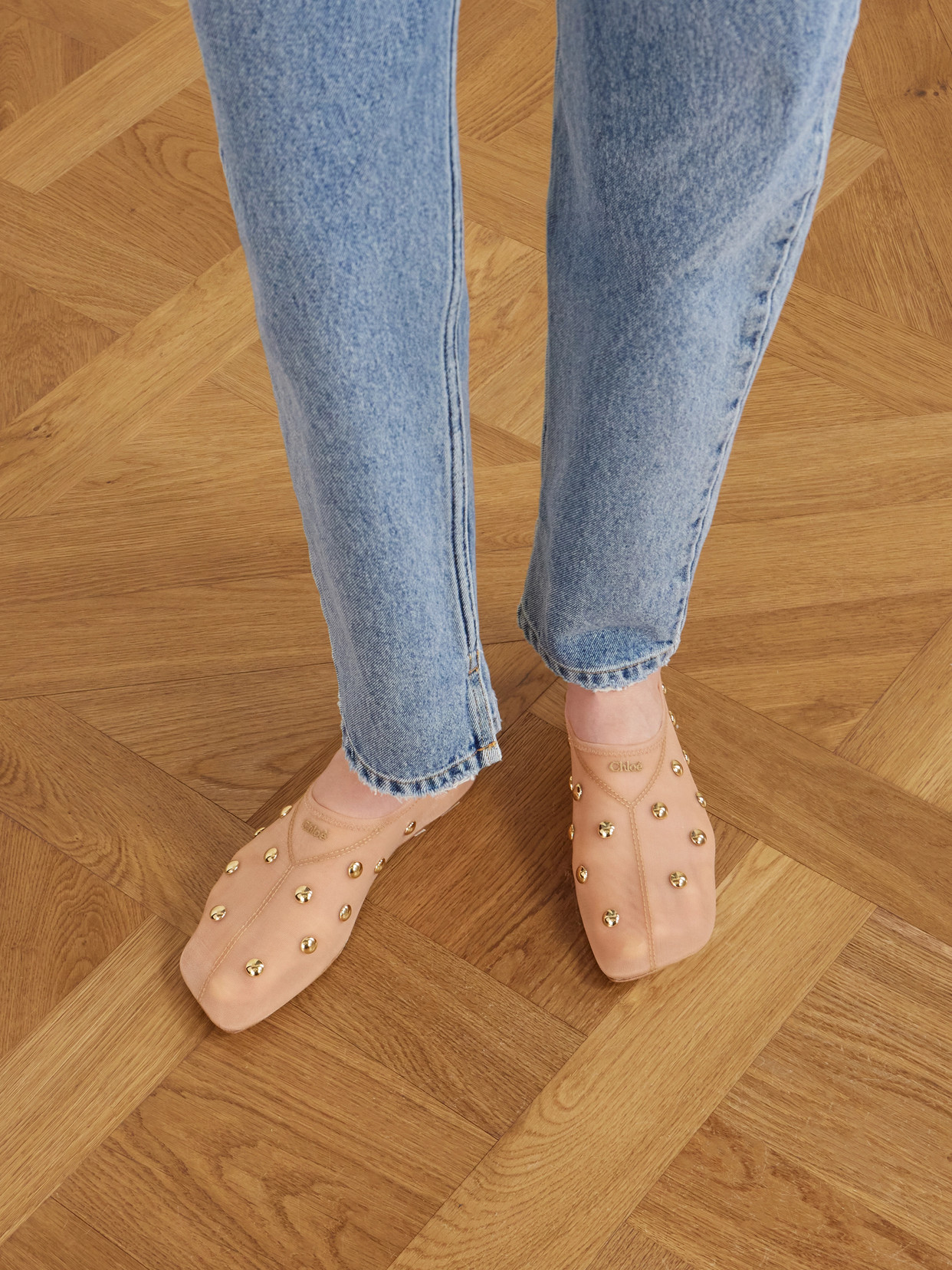 Chloé Rita Blushy Beige Ballet Flats In Transparent Mesh Women In Neutral