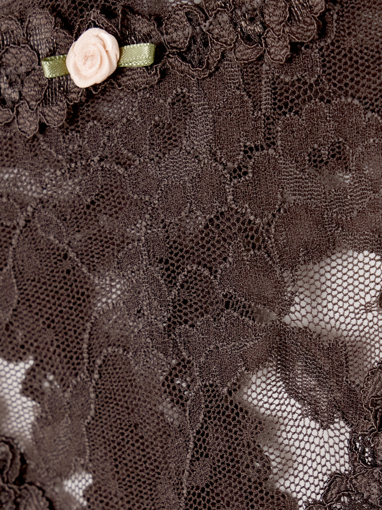 Skims Stretch Lace Thong In Brown