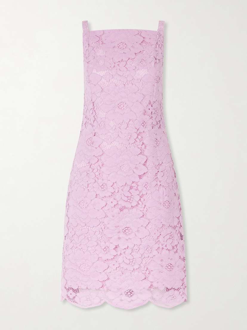 Patou Floral-embroidered Cotton-blend Guipure Lace Midi Dress