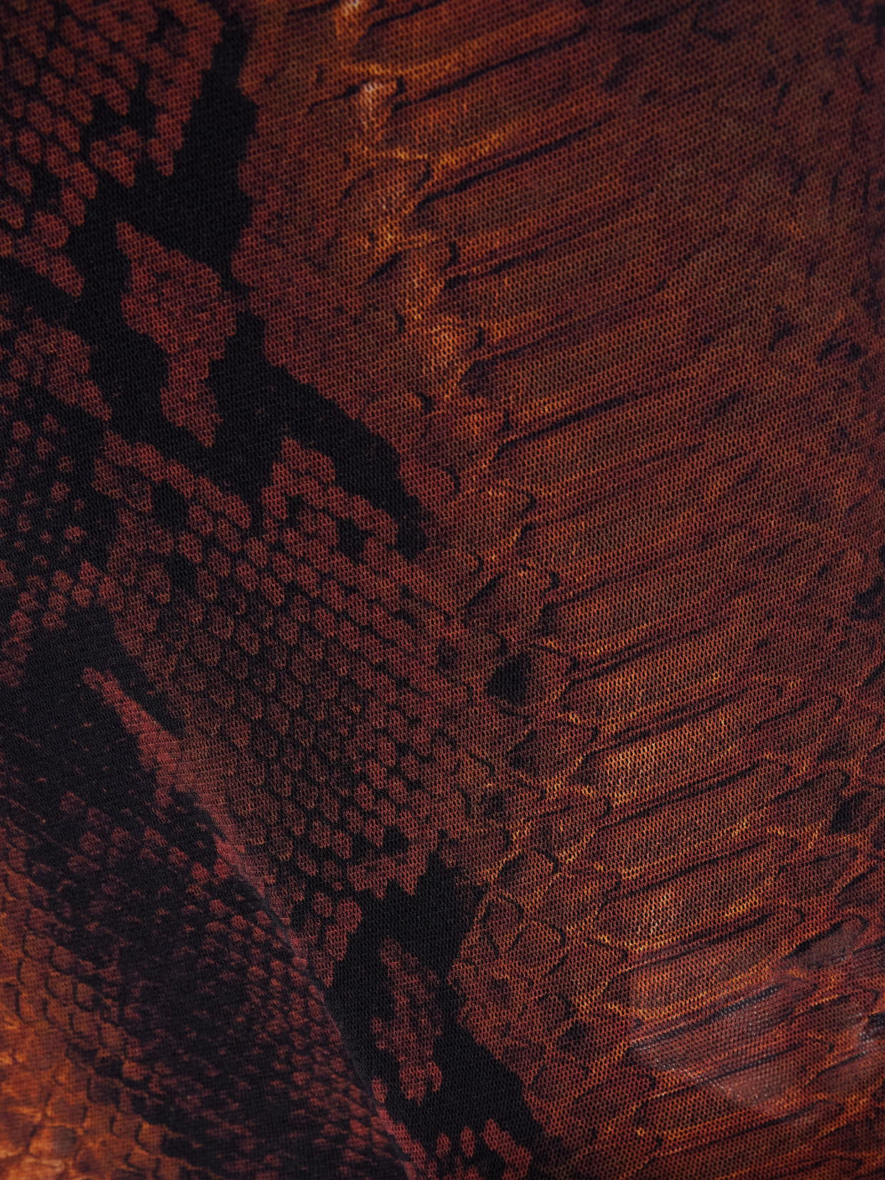 Jean Paul Gaultier Snake-print Mesh Midi Dress In Black