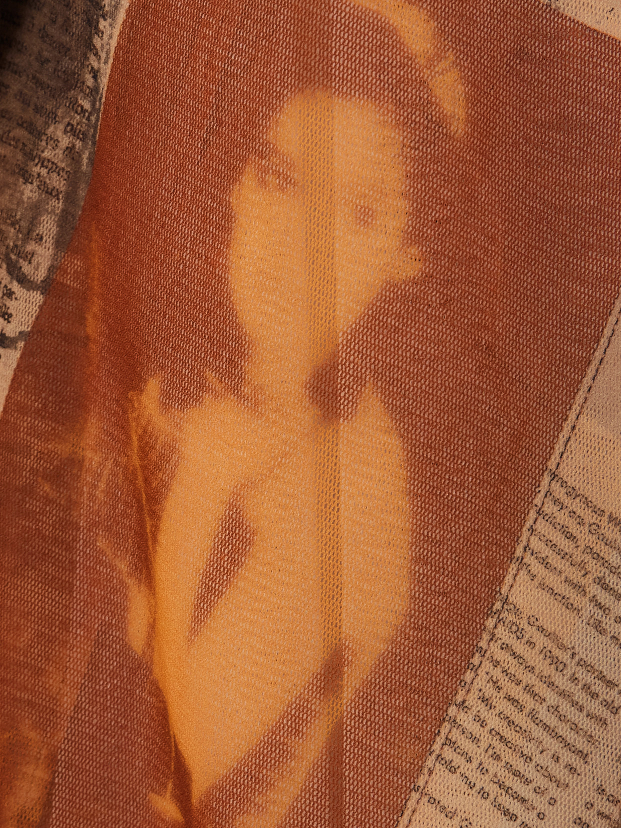 Jean Paul Gaultier Journal Open-back Printed Mesh Maxi Dress In Brown