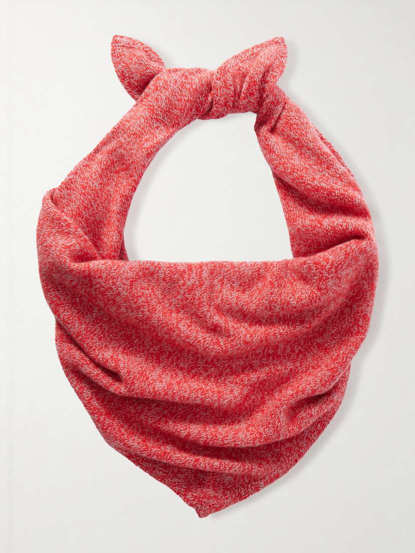 The Elder Statesman Cashmere Scarf