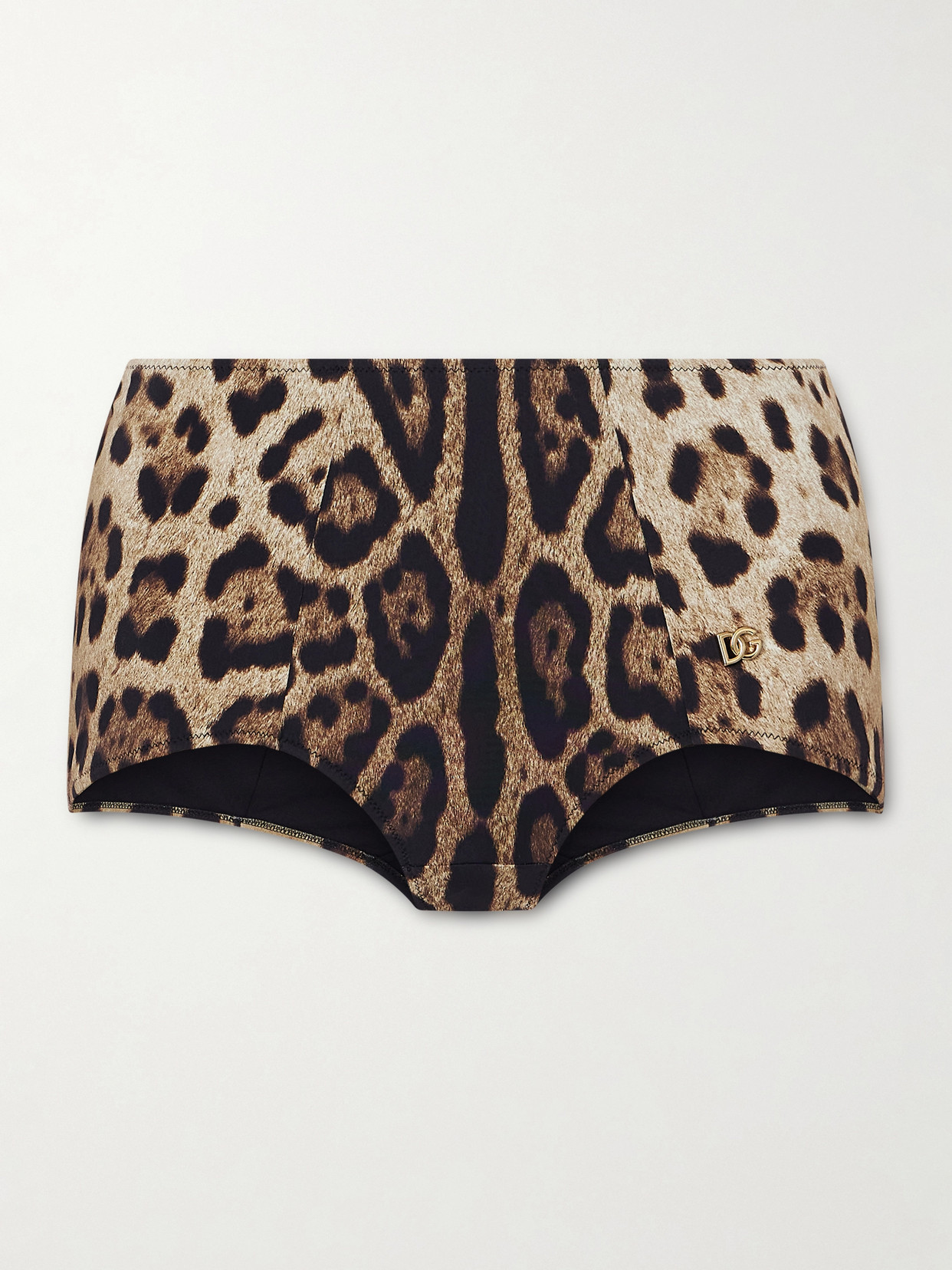 Dolce & Gabbana Leopard-print Bikini Brief In Animal Print