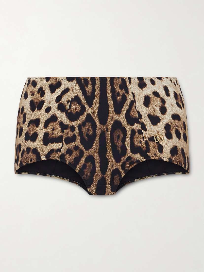 Dolce & Gabbana Leopard-print Bikini Brief