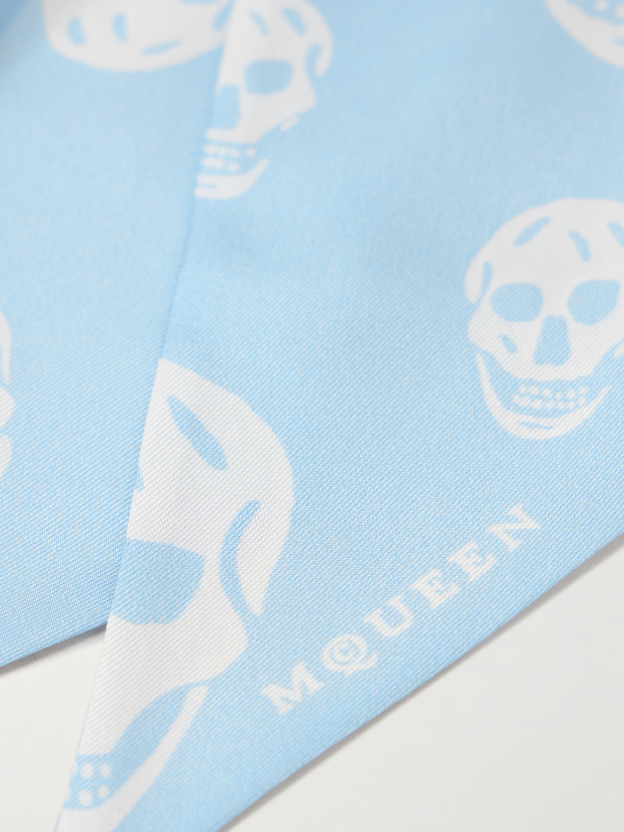 Alexander Mcqueen Printed Silk-twill Scarf In Blue
