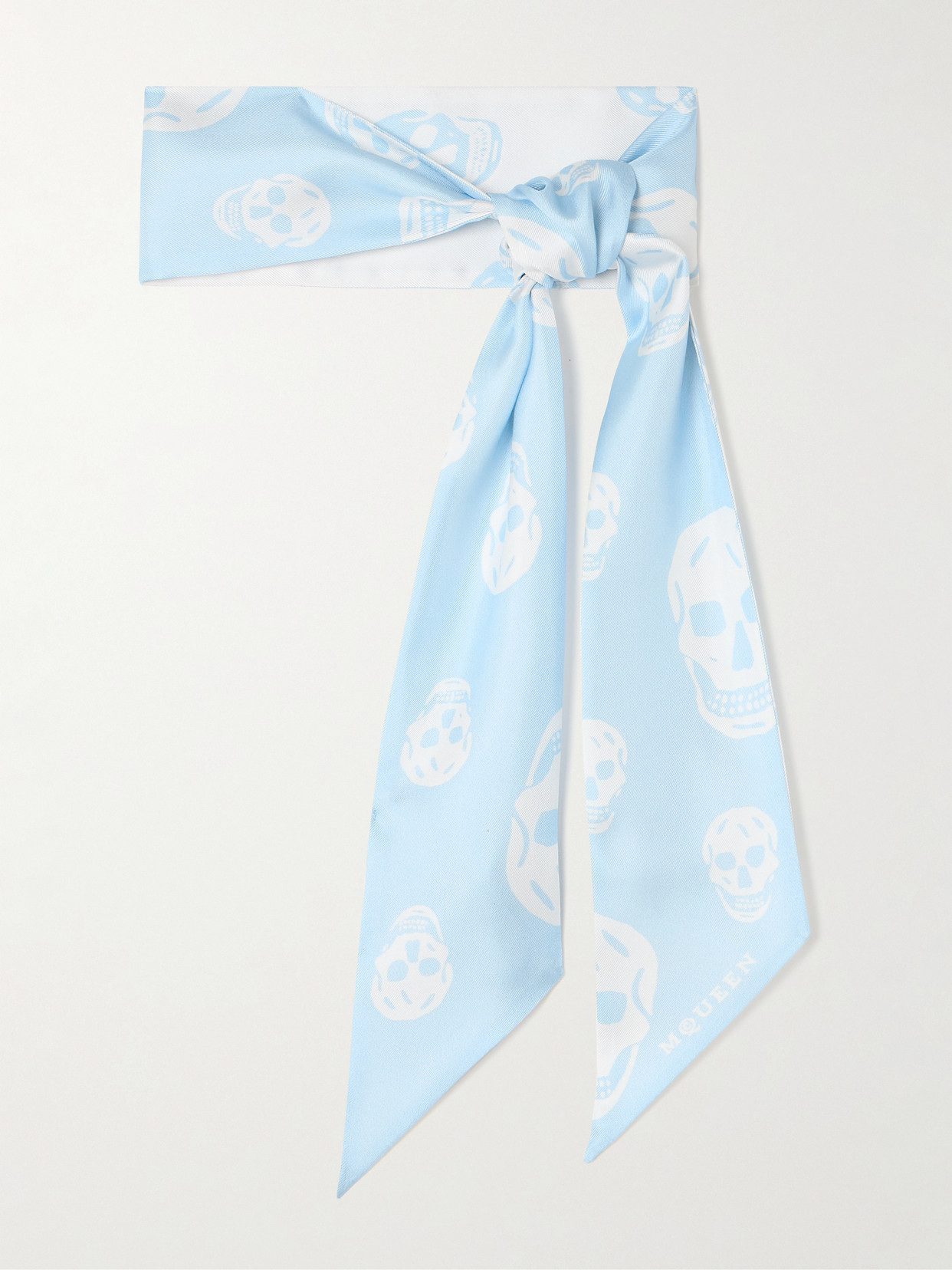 Alexander Mcqueen Printed Silk-twill Scarf In Blue