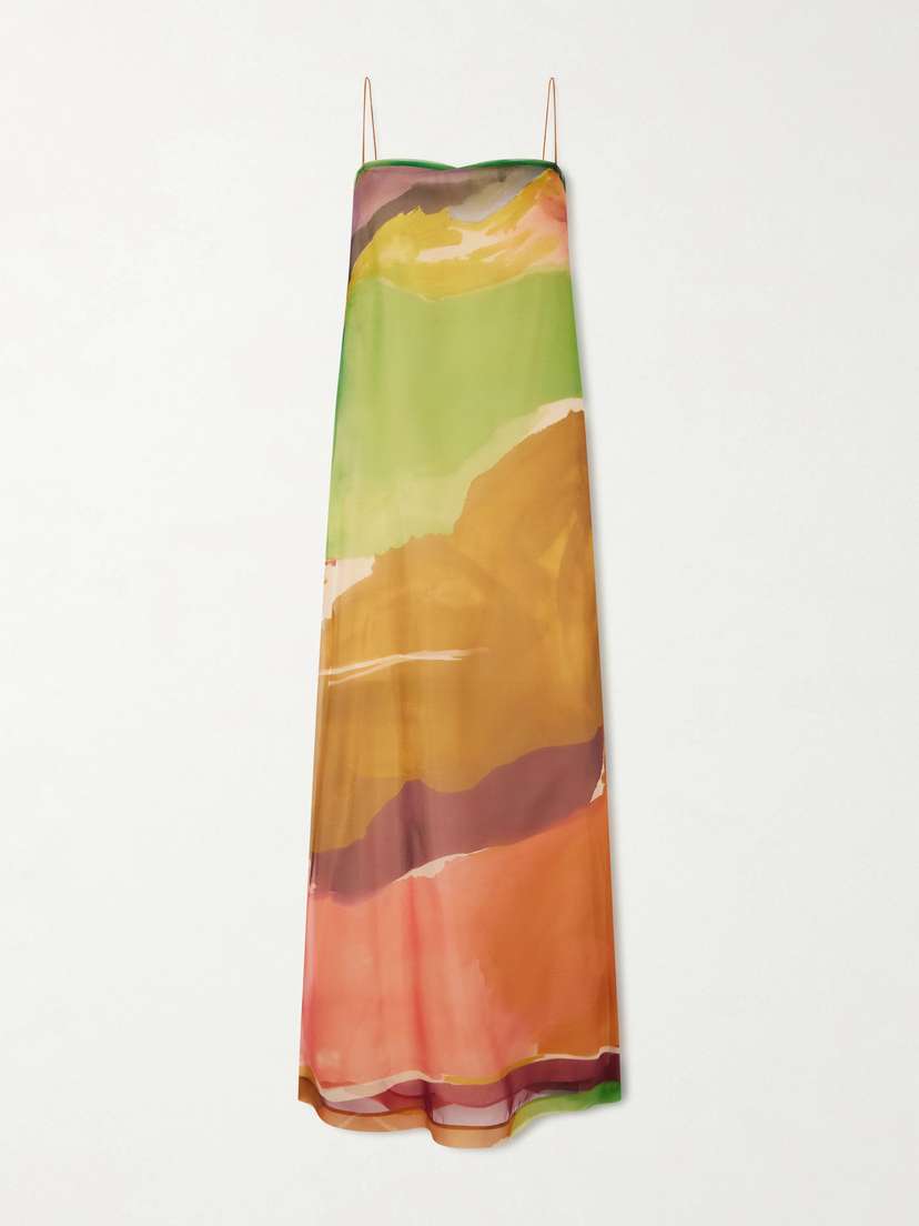 Printed Silk-organza Midi Dress