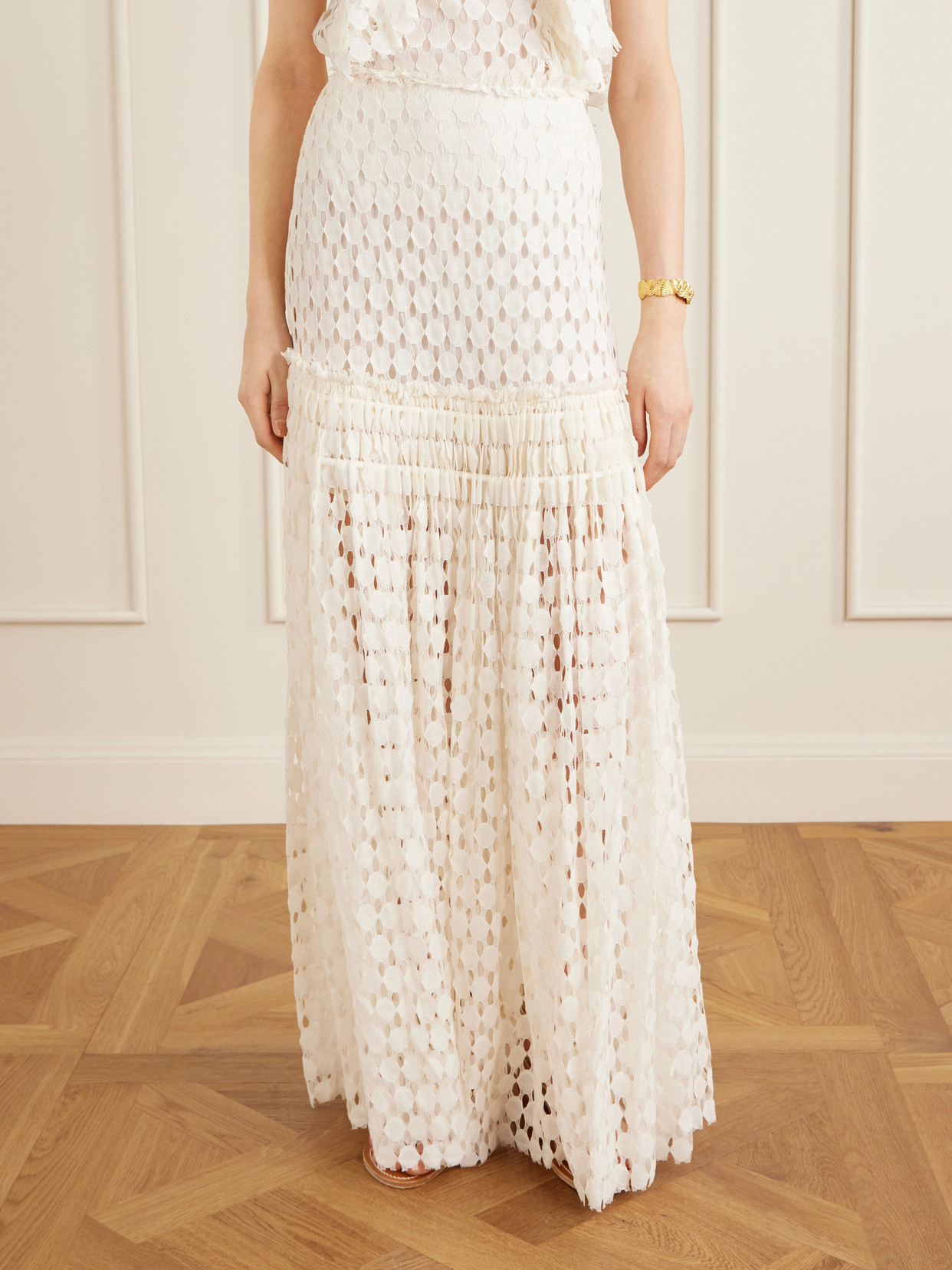 Aris Pleated Cotton-Blend Lace Maxi