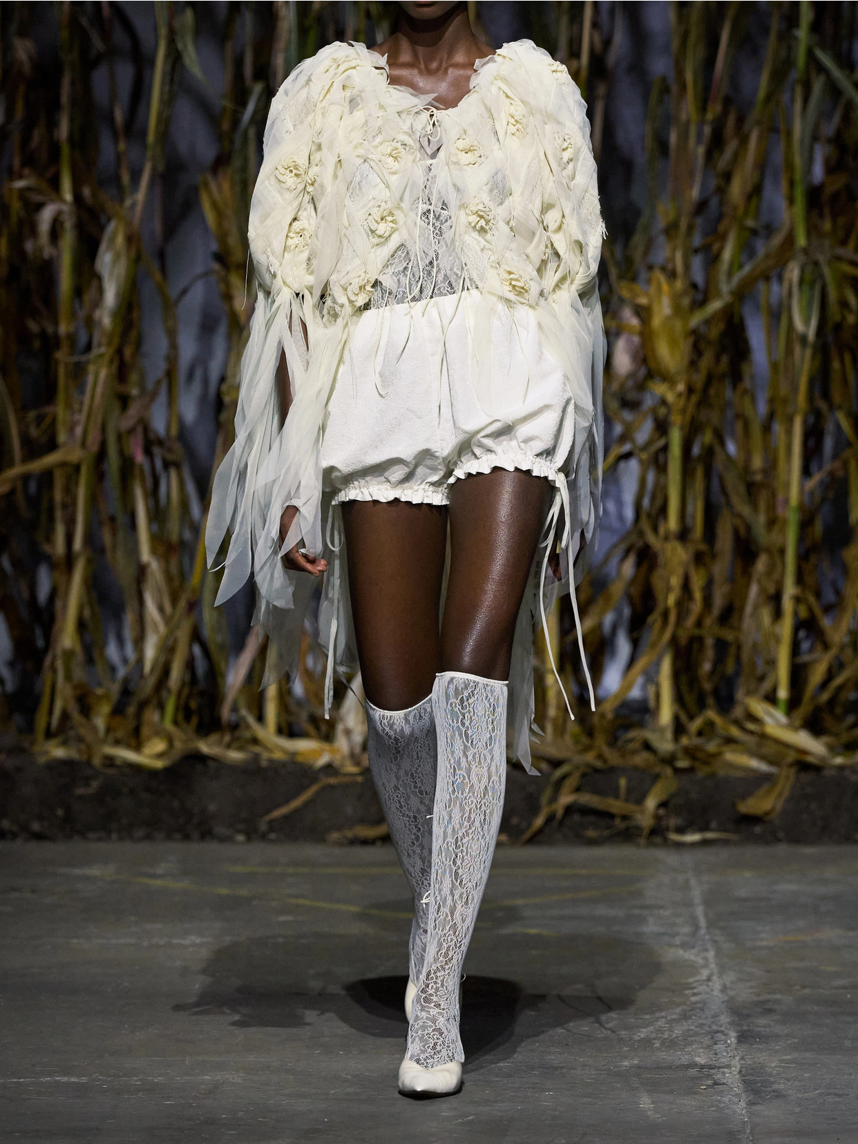 Lace-Trimmed Embroidered Organza Jacket