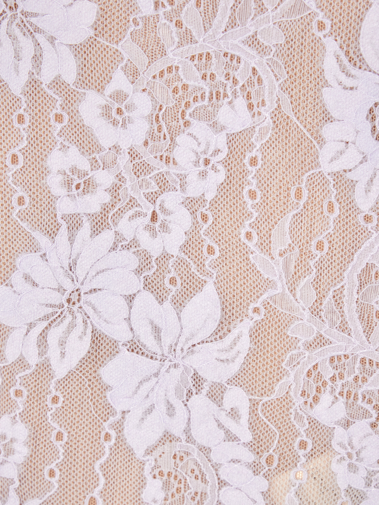 Zimmermann Lace Scoop Bodysuit Clothing In Purple