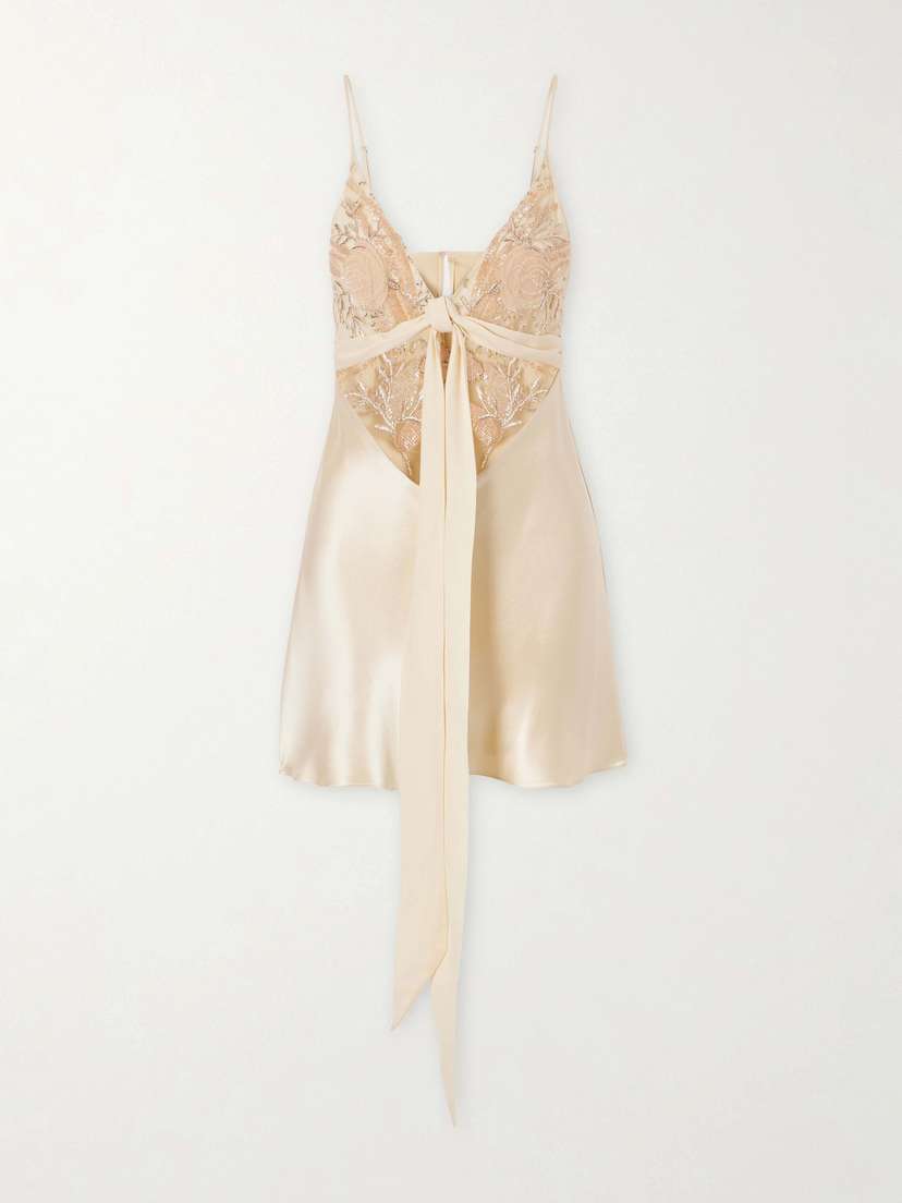 Wiederhoeft Blumen Tie-detailed Embroidered Silk Chiffon And Satin Mini Dress