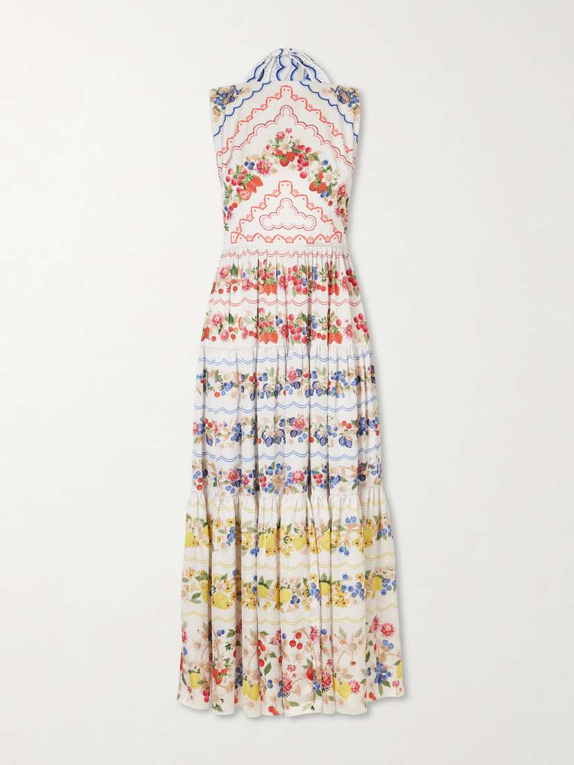 Mary Katrantzou Sophia Floral-print Woven Maxi Dress