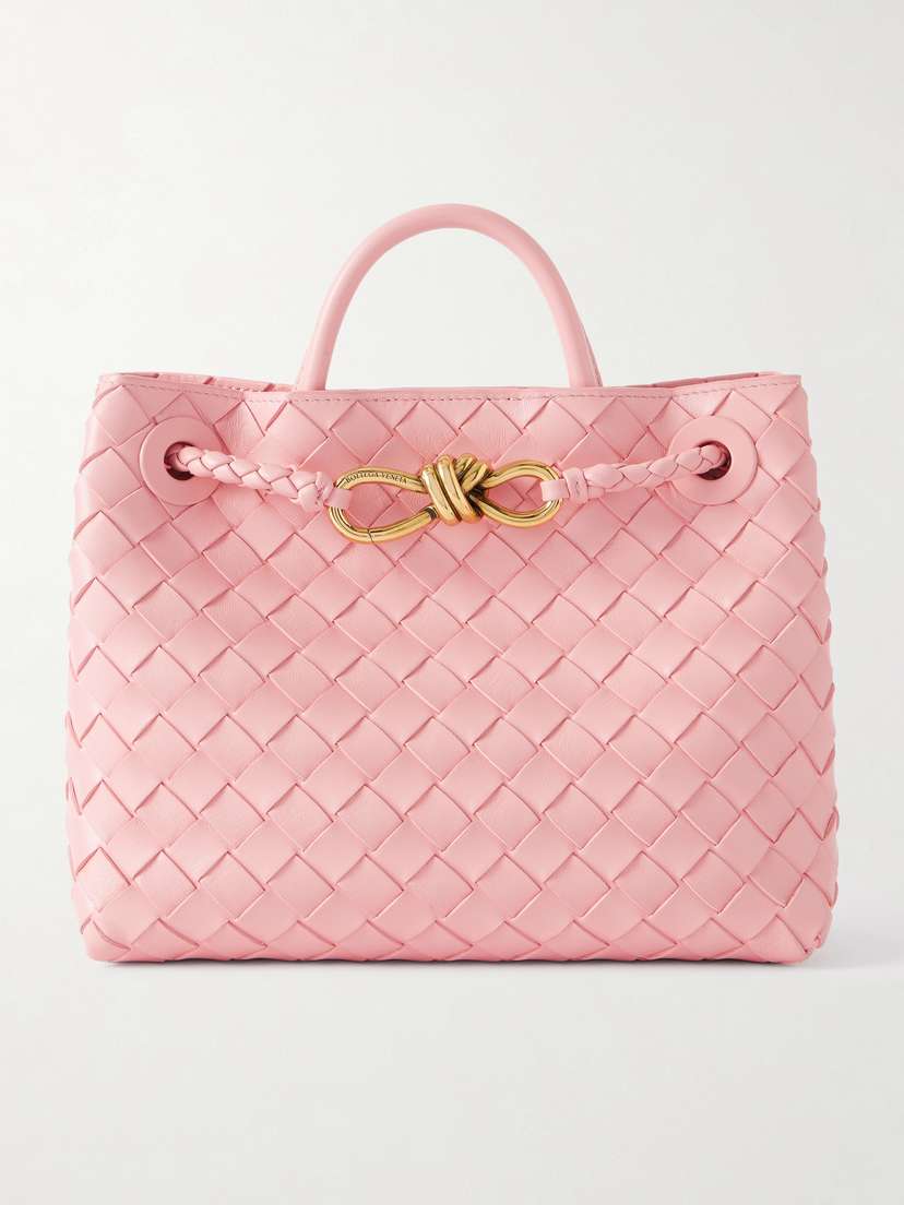 Bottega Veneta Andiamo Small Intrecciato Leather Tote