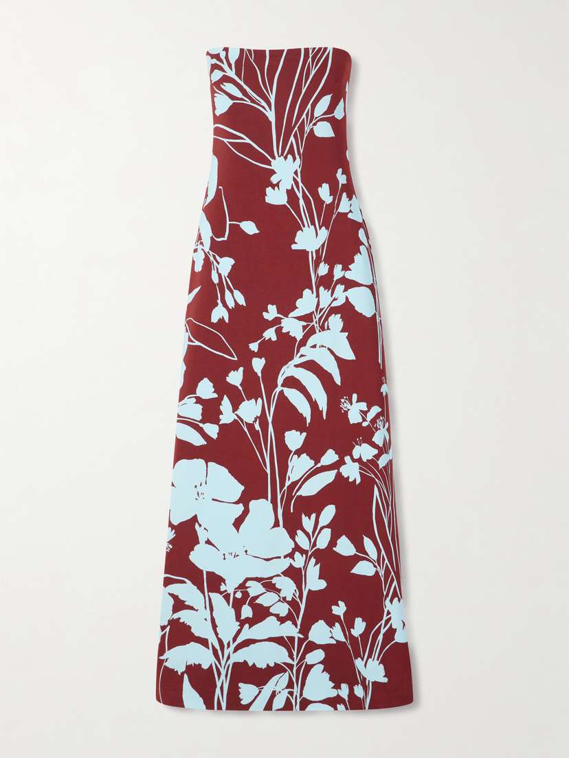 Cara Cara Benita Floral-print Stretch-crepe Strapless Maxi Dress
