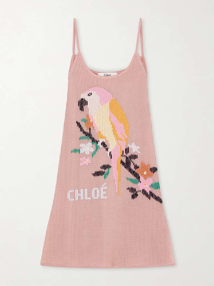 Chloé Embroidered Crocheted Cotton Mini Dress | Thumbnail 5