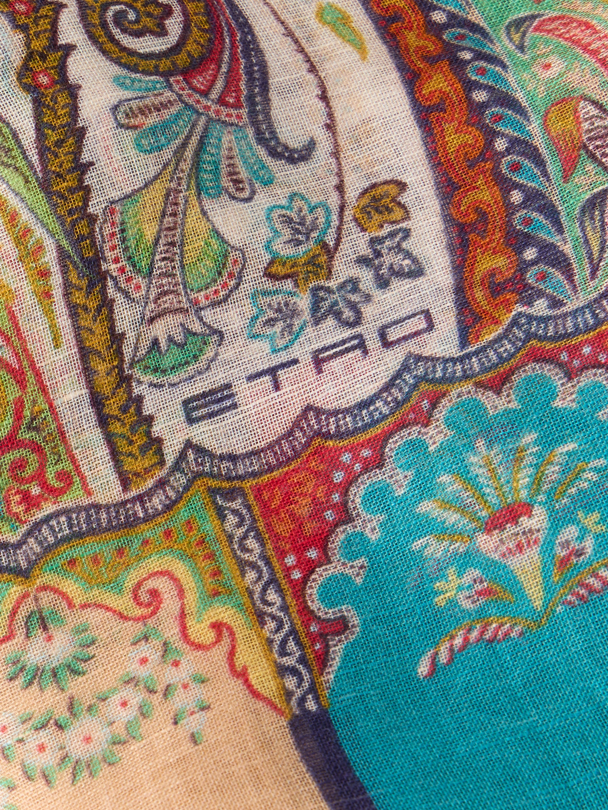 Etro Aida Printed Scarf In Multi