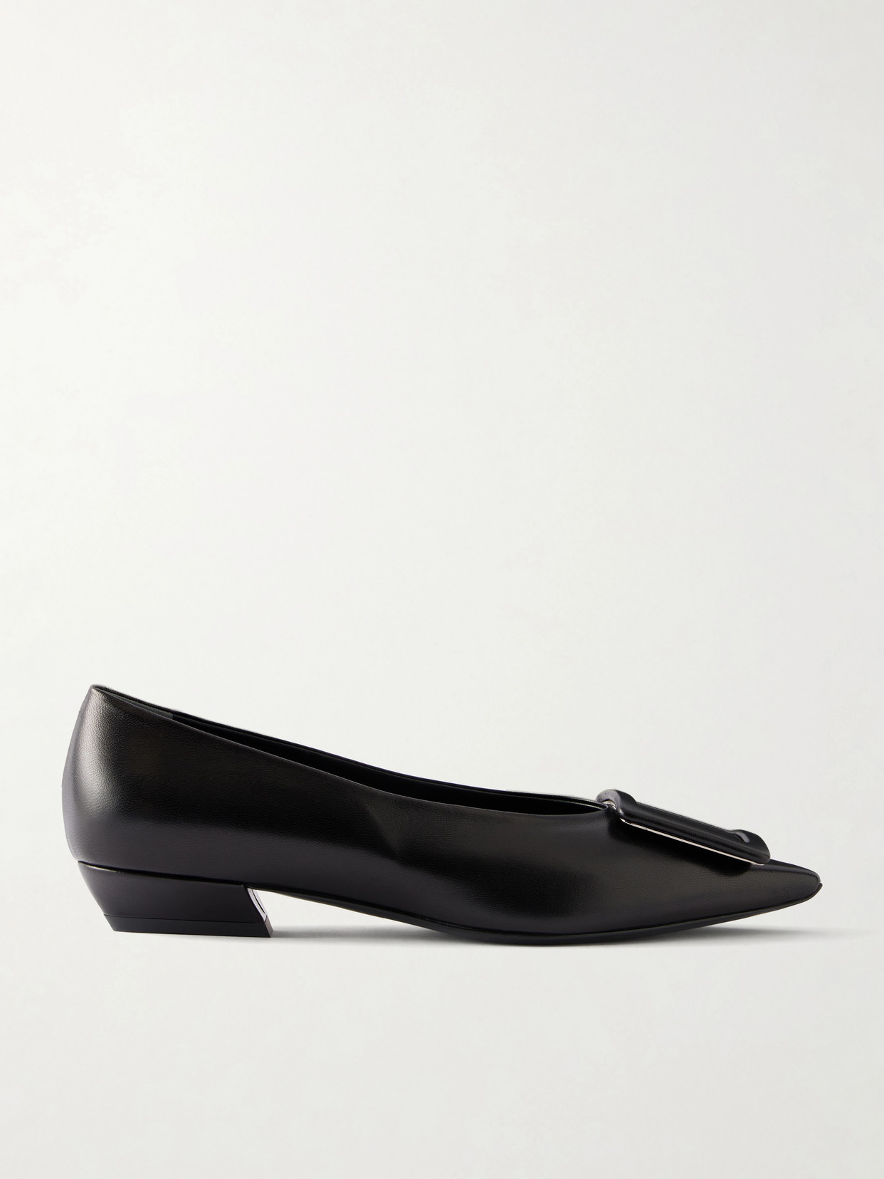 Roger Vivier Pointy Covered Ballerina 25 Leather Ballet Flats In Multi