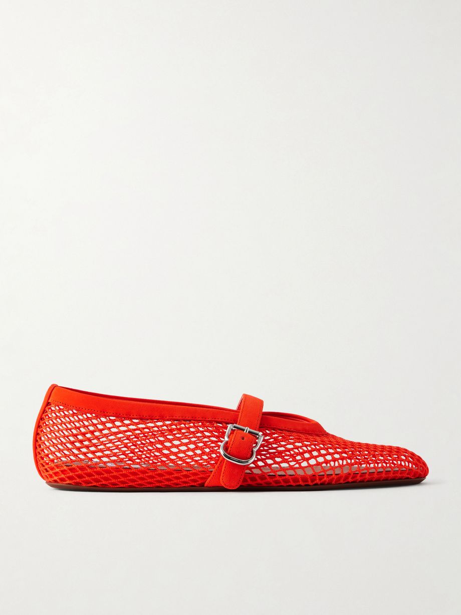 Metallic leather-trimmed mesh ballet flats