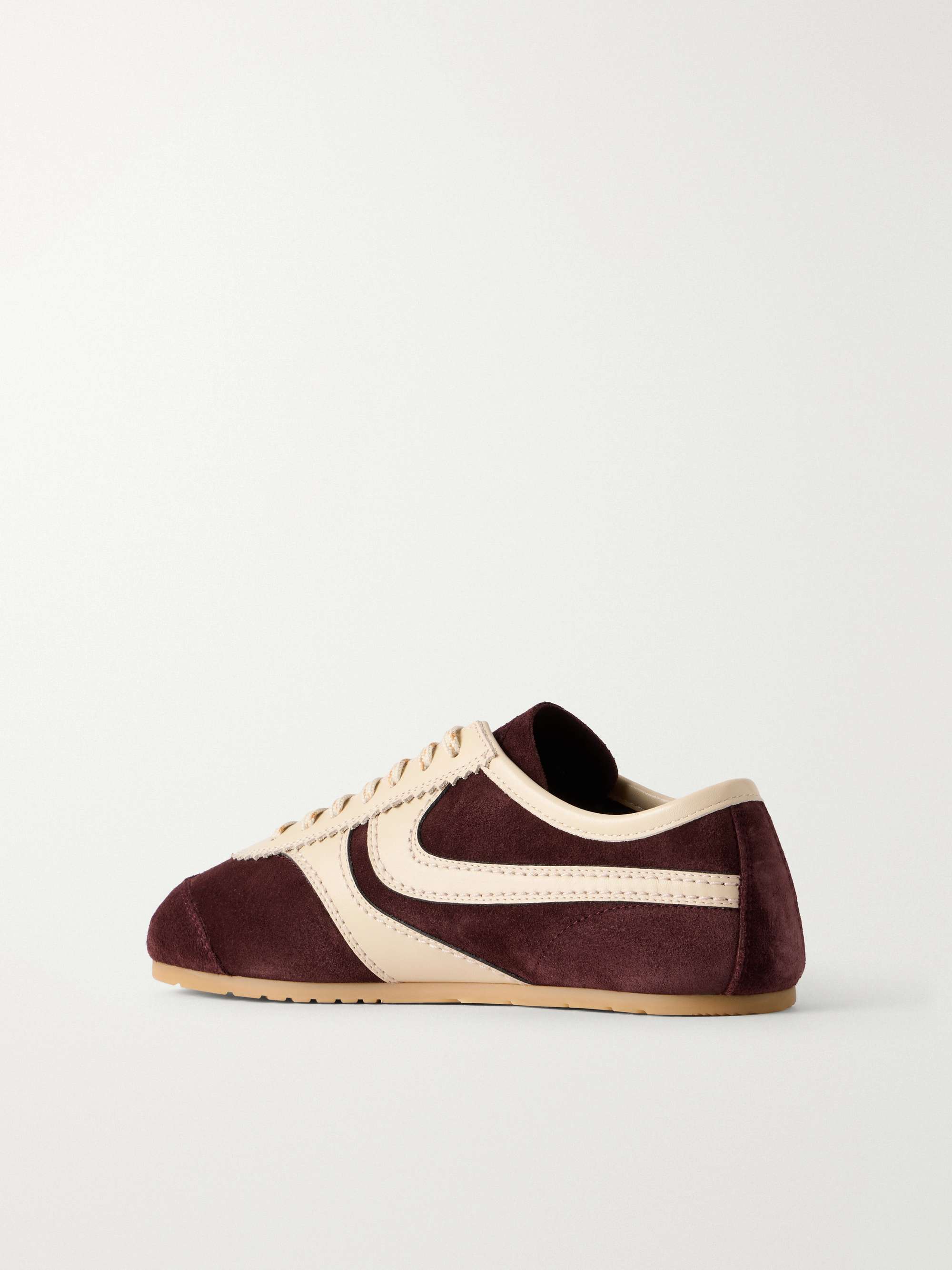 DRIES VAN NOTEN 
