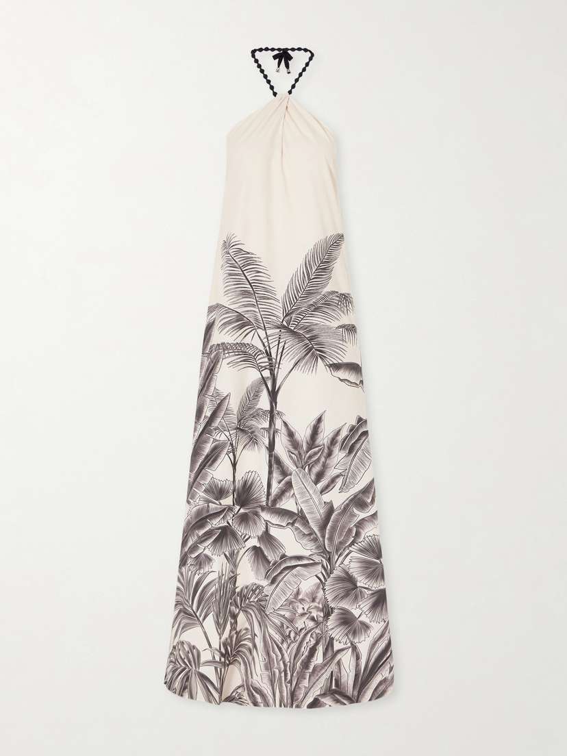ANDRES OTALORA Kalahari Printed Cotton-poplin Maxi Dress