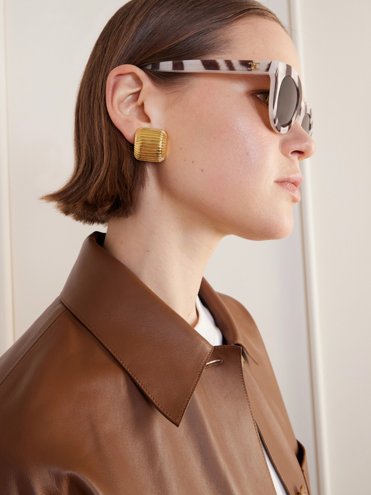 Celine Round-frame Acetate Sunglasses In Multi