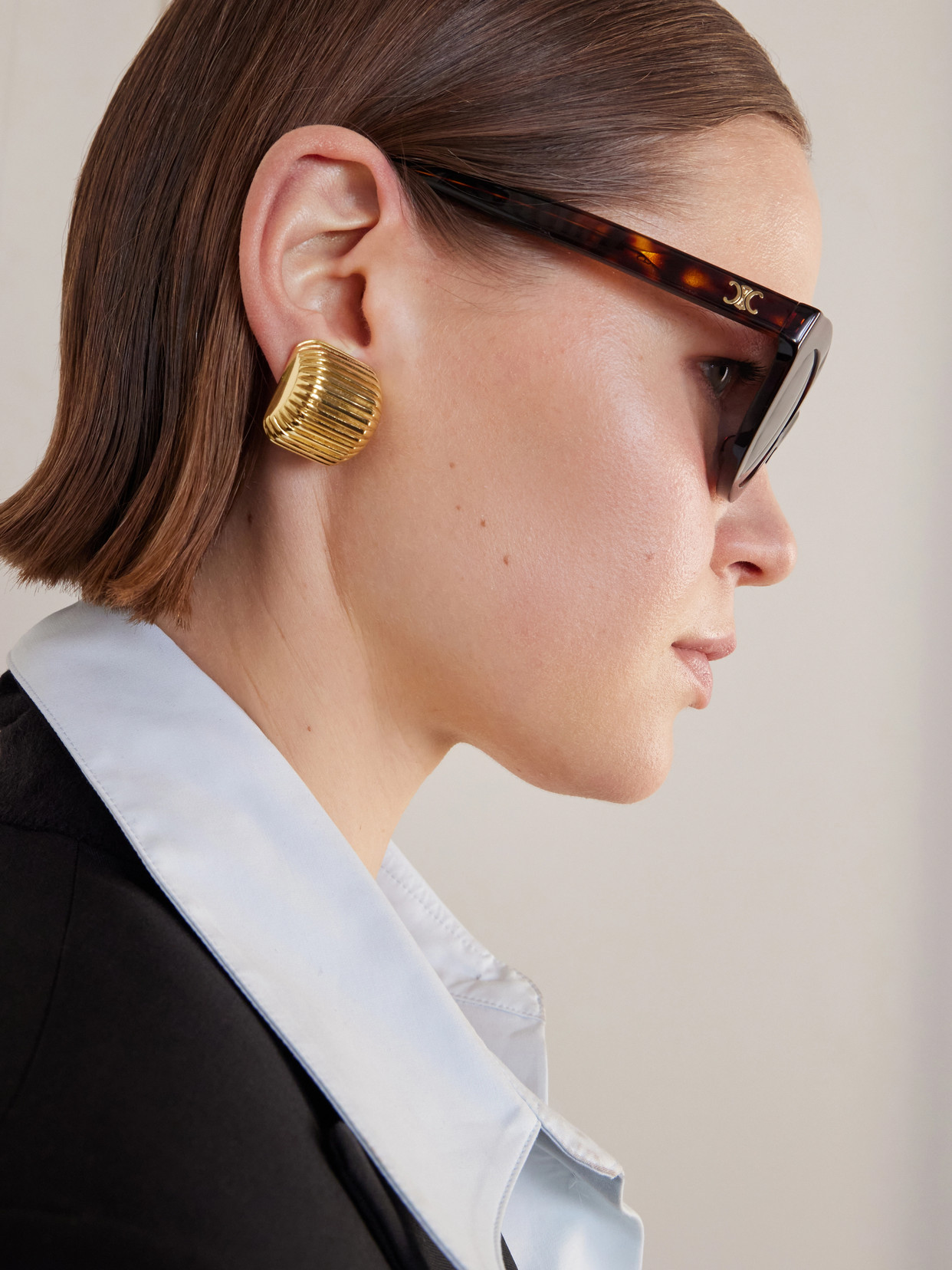 Celine Round-frame Acetate Sunglasses In Multi