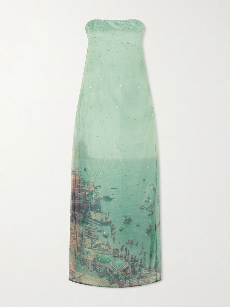 Amara strapless printed organza maxi dress
