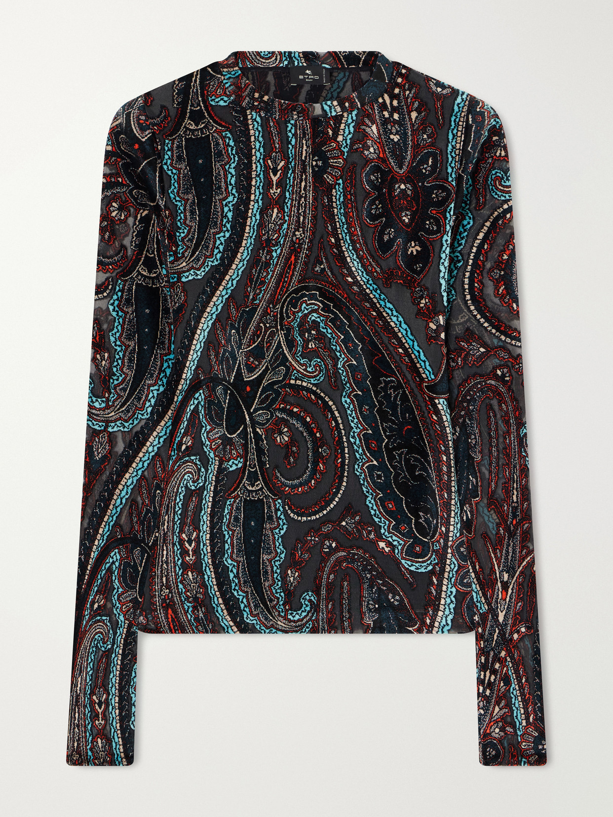Etro Printed Velvet-trimmed Mesh Blouse In Multi