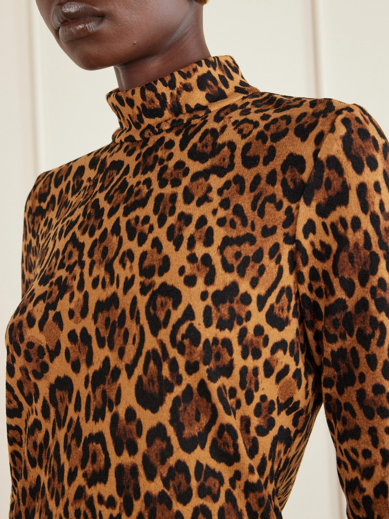 Anna Sui Leopard-print Turtleneck Sweater In Multi