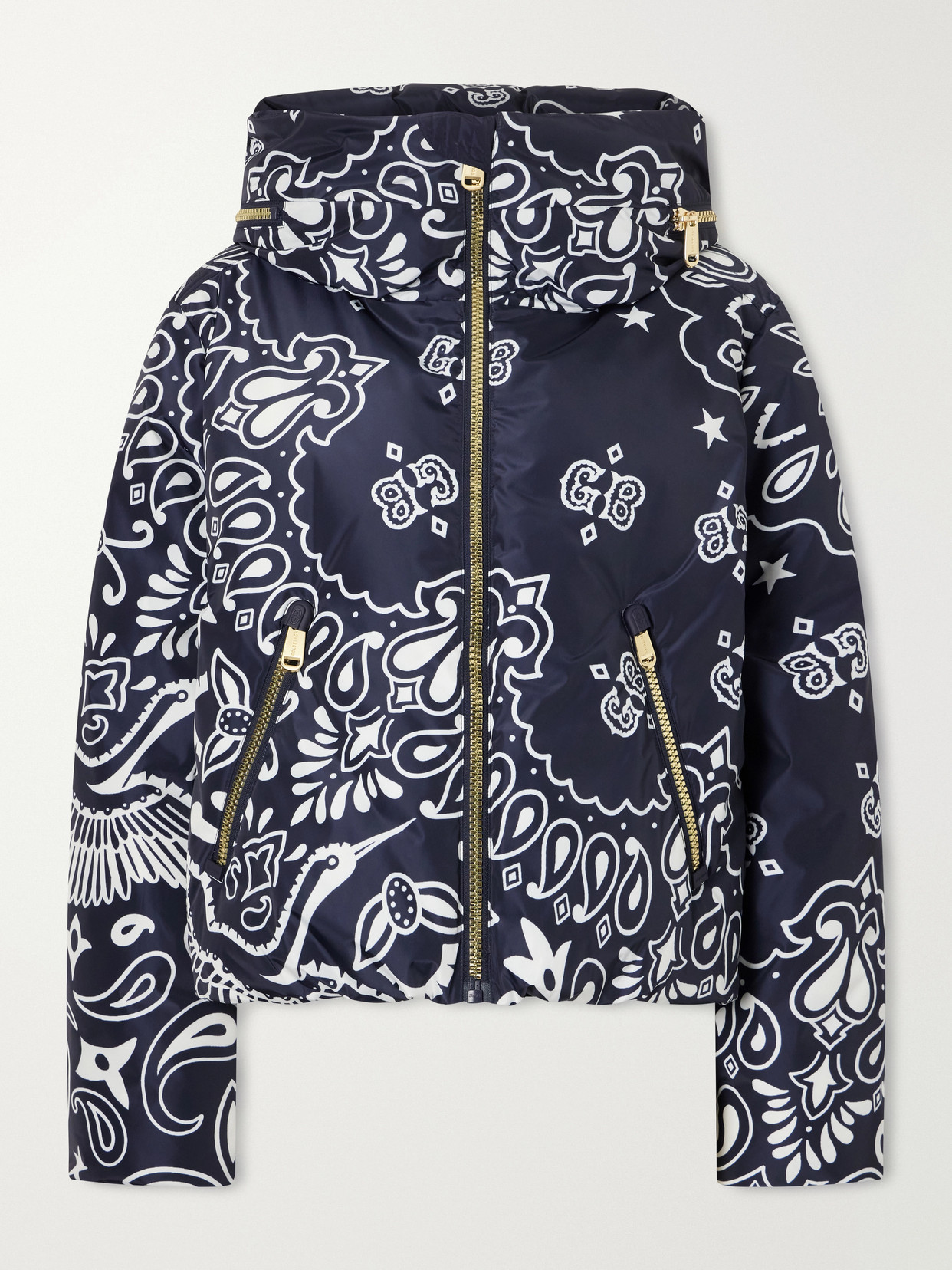 Kyoki Paisley-Print Shell Ski Jacket