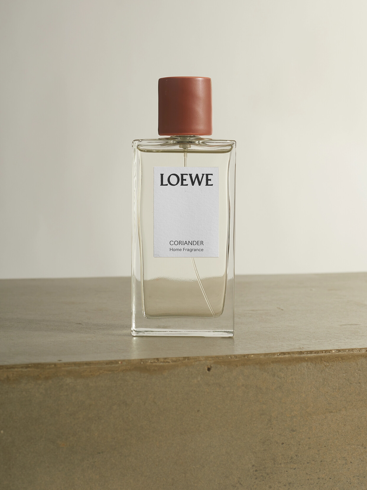 Loewe Room Spray In Brown